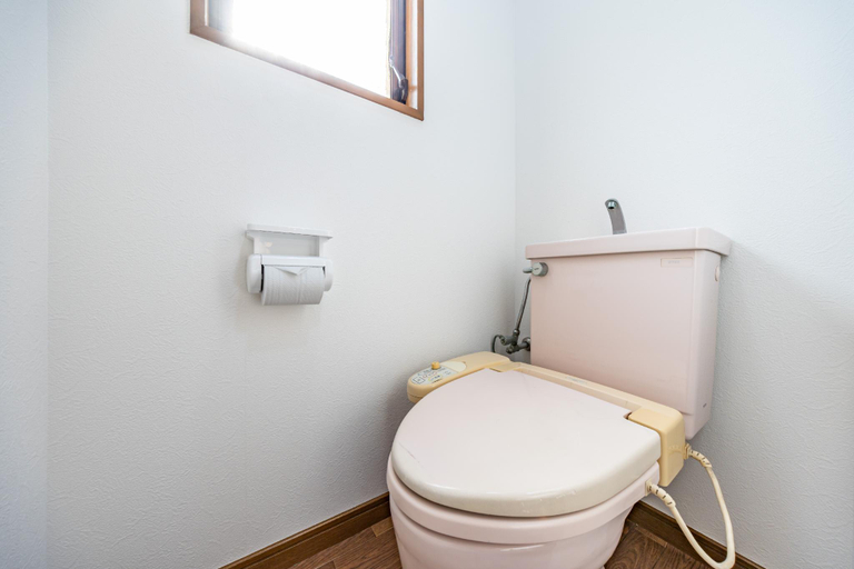 Bathroom 3, Tachibana, Osaka