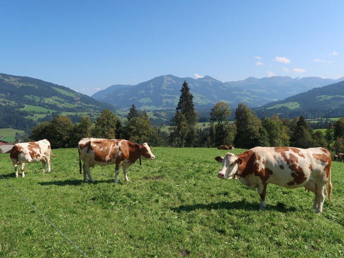 Others 5, Ferienwohnung Prent WILD024 by FeWo-PLAN, Kufstein