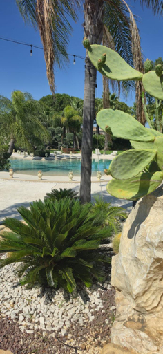 Swimming pool 4, Holiday in Paradise, Palermo