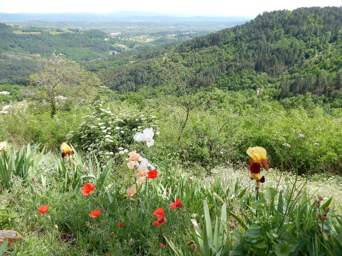 Others 5, Hidden Retreat in Chassiers, Ardèche