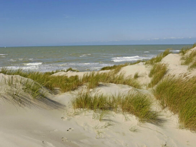 Others 5, Camiran Escape Wine  Calm, Gironde