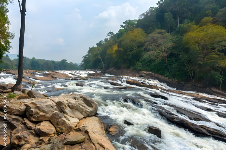 Others 5, Clive Ten Athirapally, Thrissur
