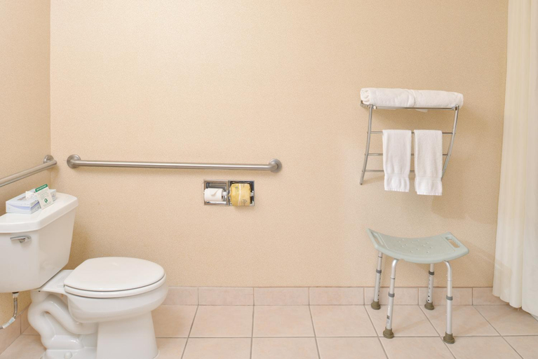 Bathroom 3, Starlight Inn & Suites Motel 29 Palms Joshua Tree , San Bernardino