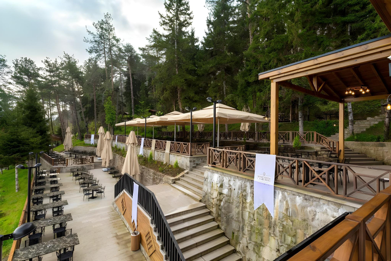 Food & Drinks 5, HANCIOGLU CAMBURNU Forest Houses, Of