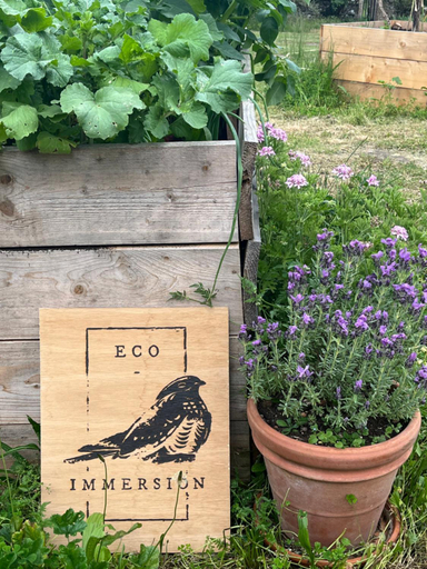 Others 5, Eco-immersion, Lot