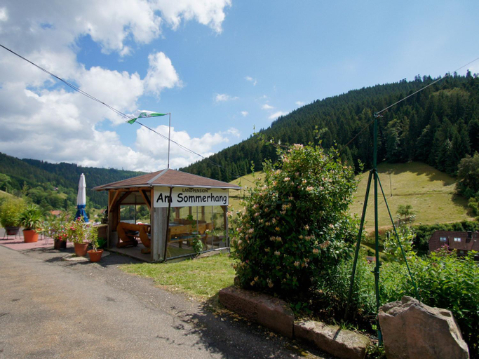 Exterior & Views 1, Landpension Am Sommerhang, Freudenstadt