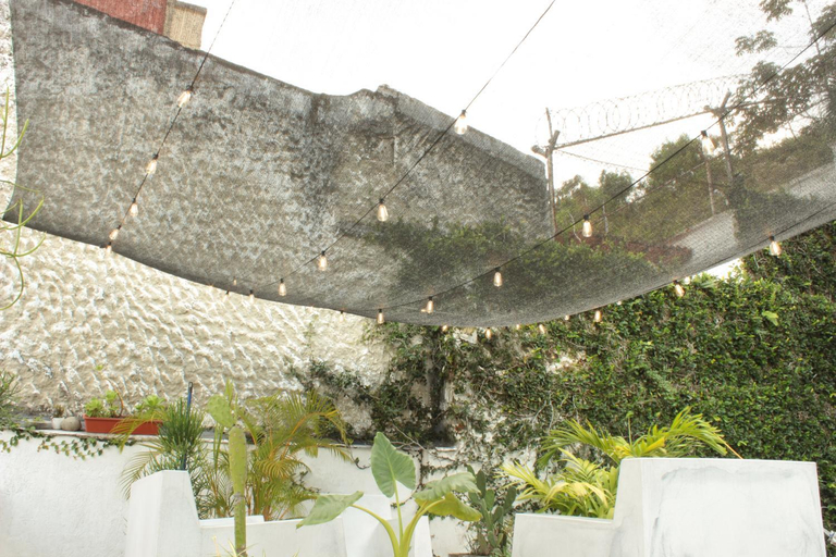 Others 5, Timeless Oasis Hostel, Santiago de Cali