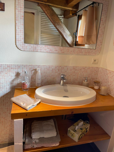 Bathroom 3, Masoe des Chatards, Allier