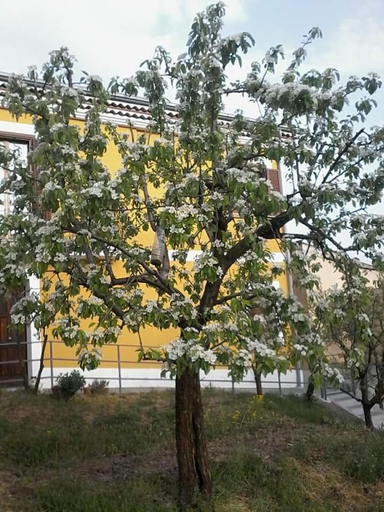 Others 5, B&B Villa Rosina, Potenza