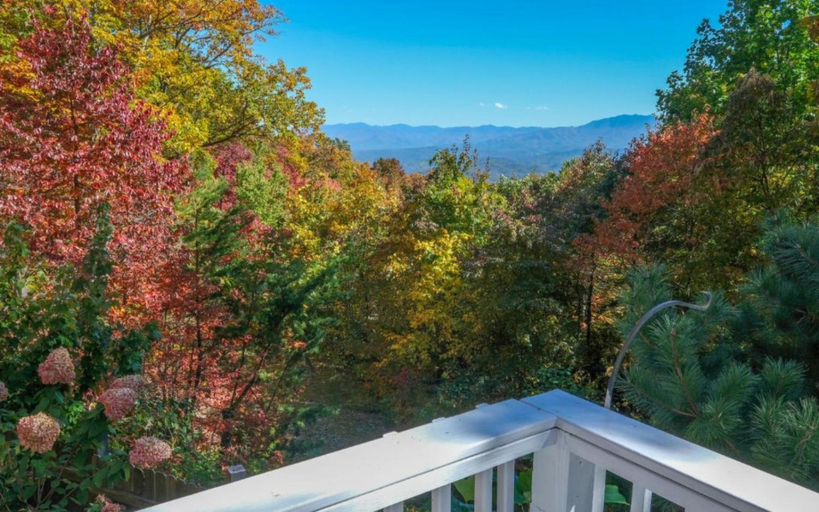 Others 5, Angel Eyes View, Sevier