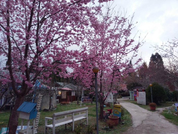 Others 4, 桃山渡假農場, Taoyuan