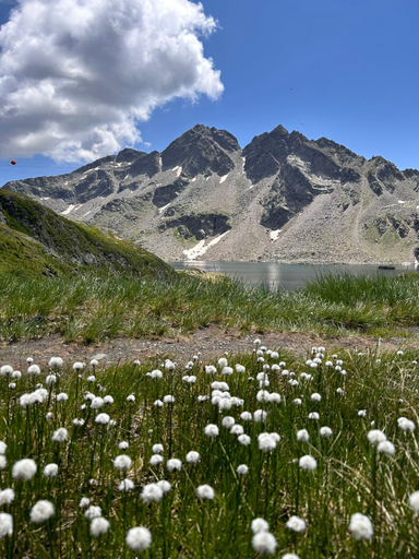 Others 5, Appartementhaus Bergkristall, Lienz