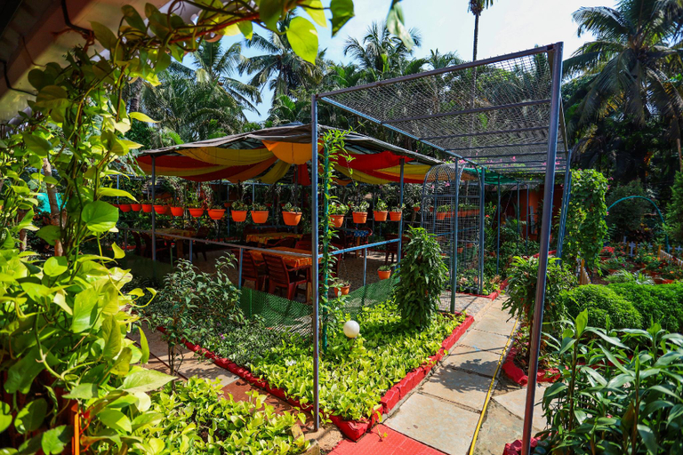 Others 5, Hotel Failaka, South Goa