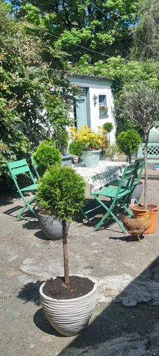 Exterior & Views, Saint Martin's Bed and Breakfast