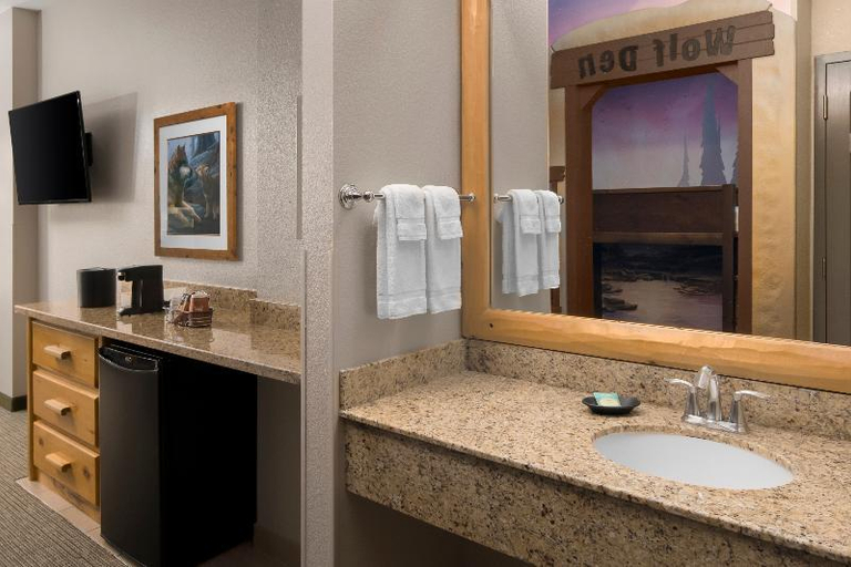 Bathroom 3, Great Wolf Lodge - Anaheim Ca, Orange