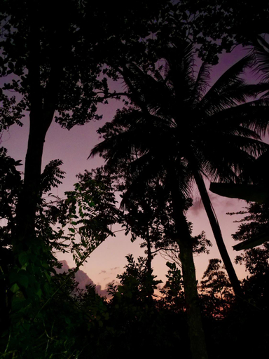 4, Hello Homestay, Habaraduwa