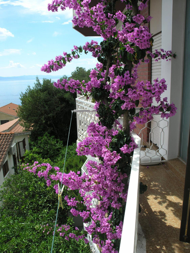 Others 4, Apartments Dobrila, Podgora