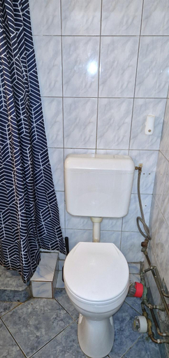 Bathroom 3, Domum Dalles Central Boulevard, Municipiul Bucuresti
