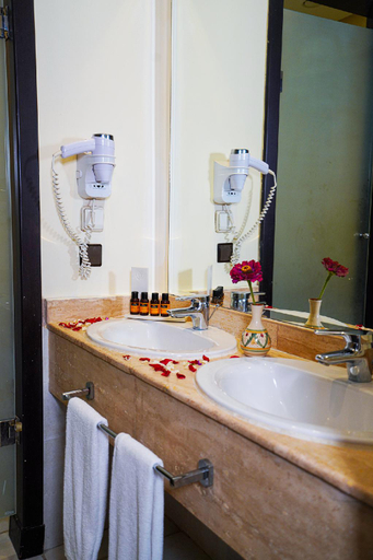 Bathroom 5, Hotel Andalucia Golf & Spa Tanger, Tanger-Assilah