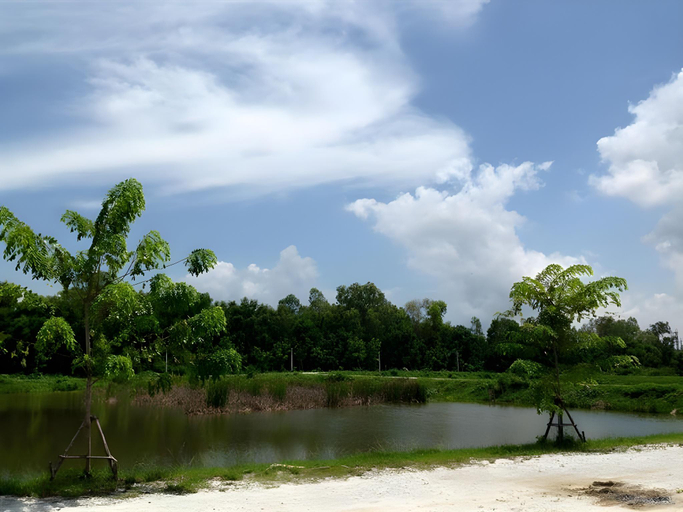 Others 4, Sarocha Resort Rayong, Muang Rayong