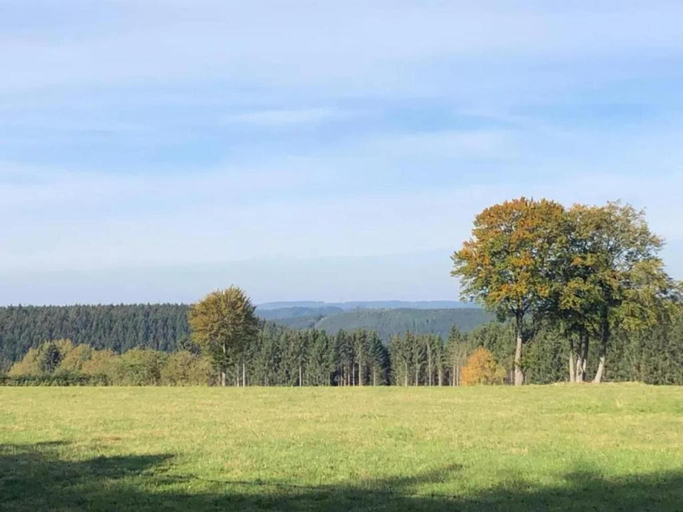 Others 4, Geraumiges Apartment mit Balkon in Willingen, Waldeck-Frankenberg