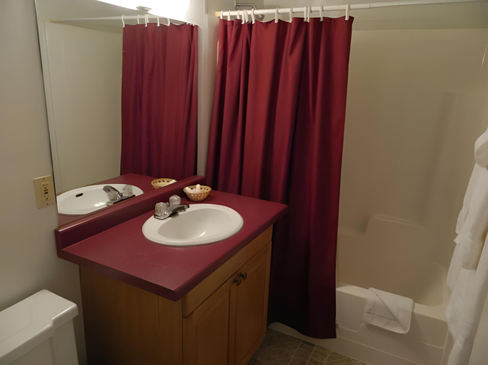 Bathroom 2, River Road Motel, Columbia