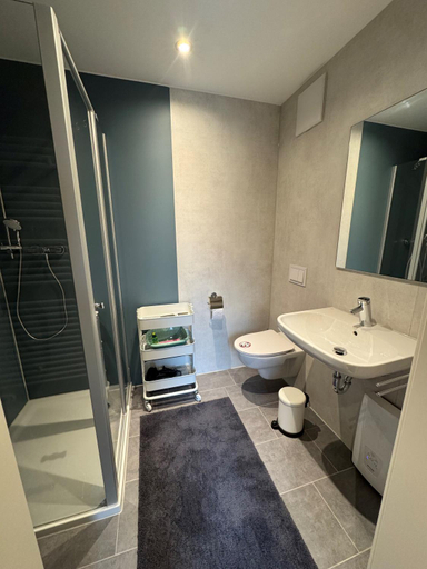 Bathroom 3, Hotel Hochfirst Ferienhauser, Breisgau-Hochschwarzwald