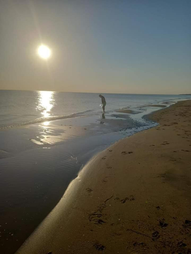 Others 4, Baywatch, Barletta-Andria-Trani