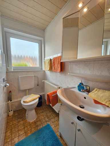 Bathroom 3, Ferienhaus Flechtner, Aurich