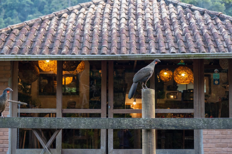 Food & Drinks 5, Estalagem Engenho de Serra - Parque Nacional do Itatiaia - Parte Alta, Itanhandu
