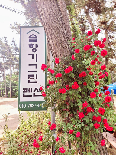 Others 2, Taean Pine Fragrance Green Pension, Taean