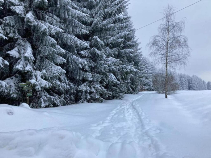 Others 4, Friedlicher Waldurlaub in Altenfeld, Ilm-Kreis