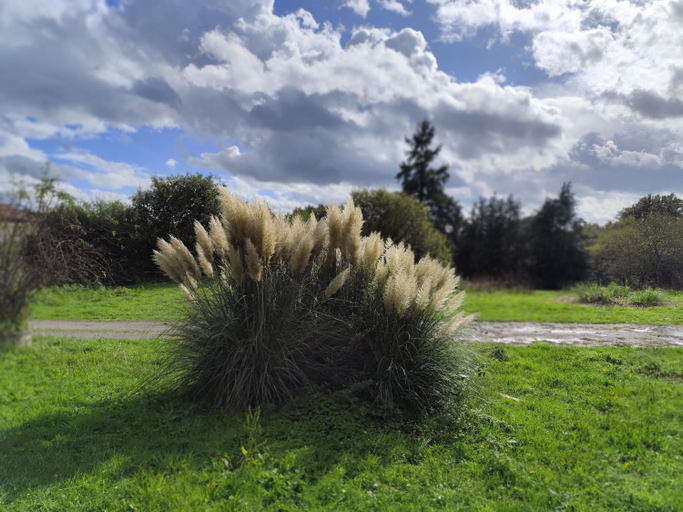 Others 5, La Maison Des Etangs, Haute-Vienne