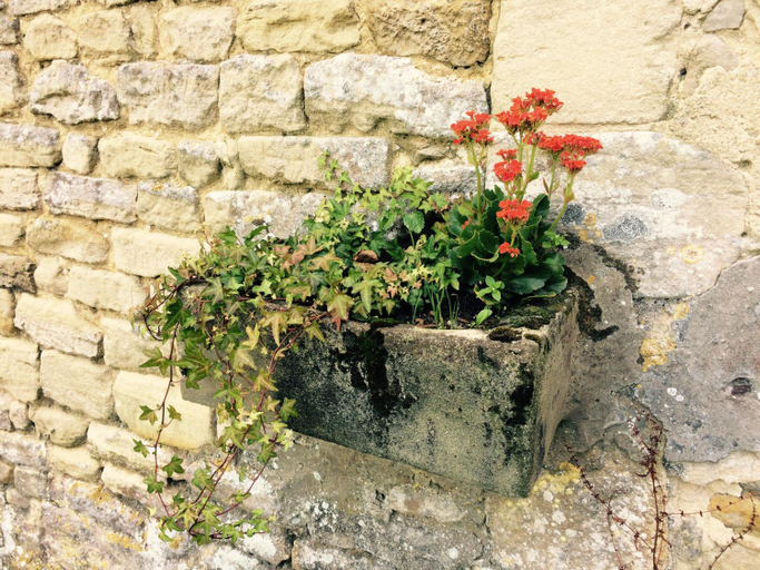 Others 4, Le Manoir des Doyens, Calvados