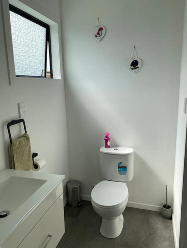 Bathroom 3, Raz & Louises bnb, Otorohanga