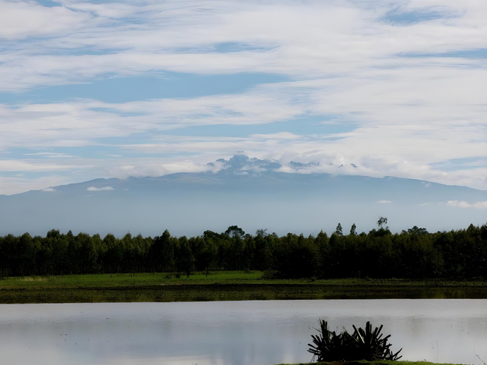 Others 5, The Ark Lodge, Kieni