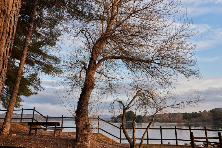 Others 5, TAIGA Lake Caspe, Zaragoza
