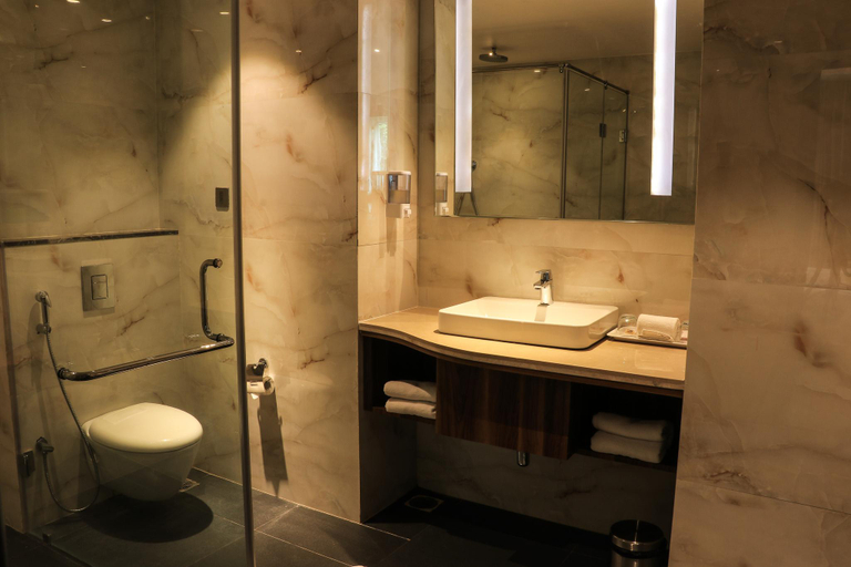 Bathroom 4, Tania President Inn, Ahmadnagar