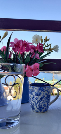 Food & Drinks, Dilina Guesthouse - Alkioni, Crete