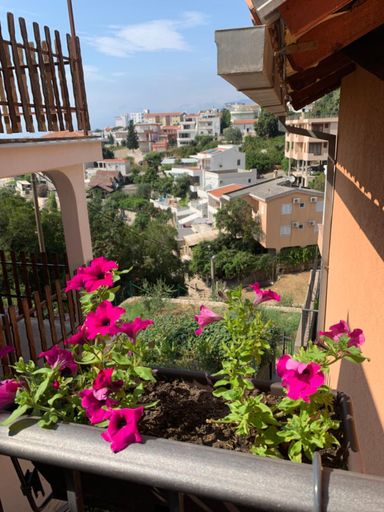 Others 4, Villa Lila