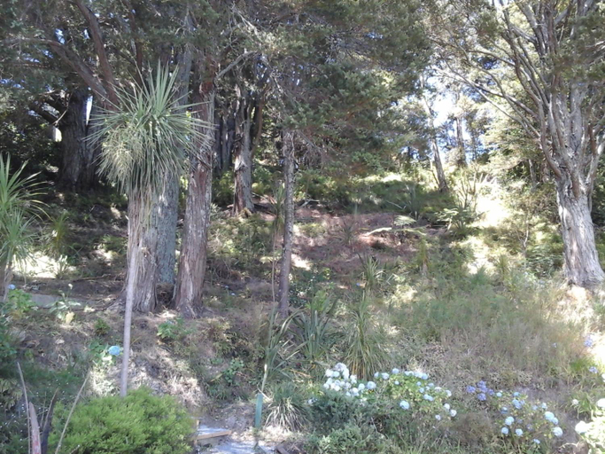 Others 2, Kauri Nest, Whangarei