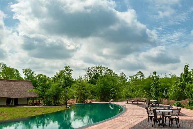 Sport & Beauty 2, Red Earth Tadoba , Chandrapur