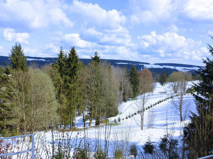 Others 4, Ski  Hiking Forest Stay, Hildburghausen