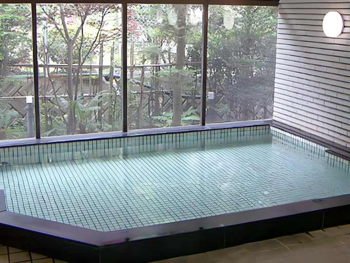 Sport & Beauty 4, Wafu Ryokan Gizan, Takayama