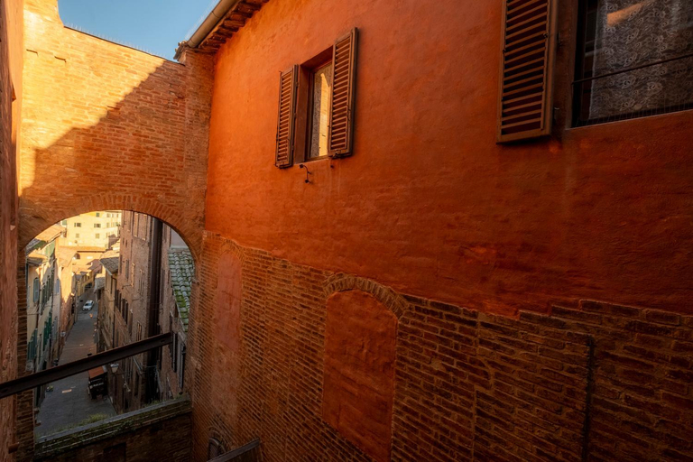 Others 2, Attilio Camere, Siena