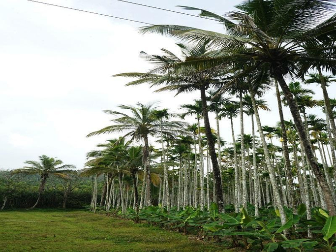 Others 5, Wayal Wayanad heritage villa, Wayanad