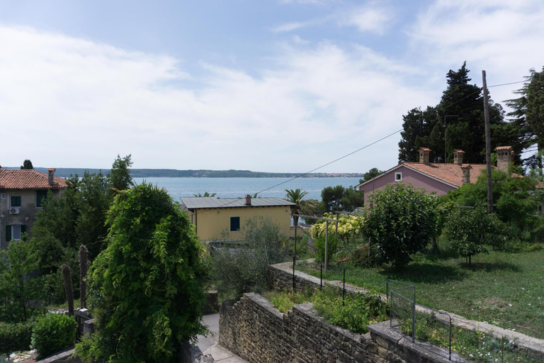 Others 3, Apartmaji Fizine, Piran
