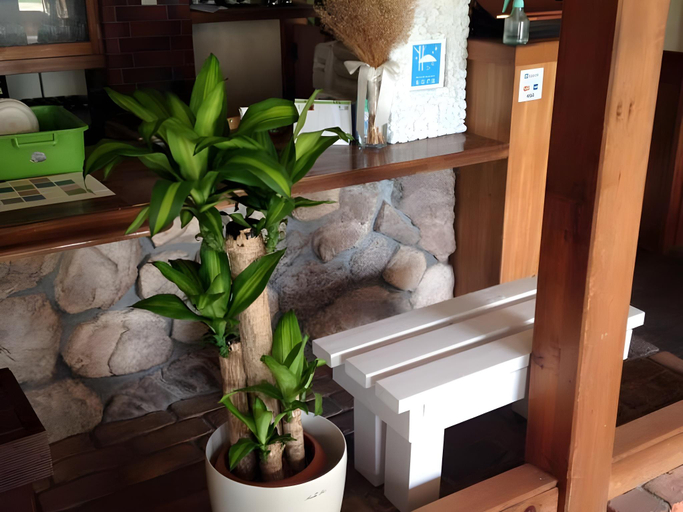 Public Area, B&B Sora, Tateshina