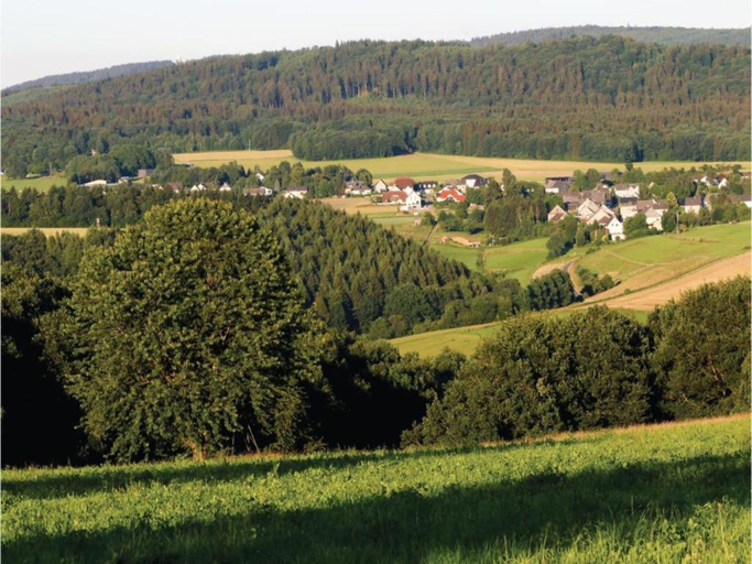 Others 4, Morbach Hillside Mansion, Bernkastel-Wittlich