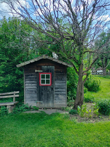 Exterior & Views 1, Kostlhof, Familie Hassler, Spittal an der Drau